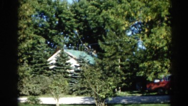 1962: the rooftop of a house rising about a grove of pine trees CHICAGOLAND AREA
