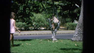 1964: two girls climbing tree in yard with flamingos with traffic going by on