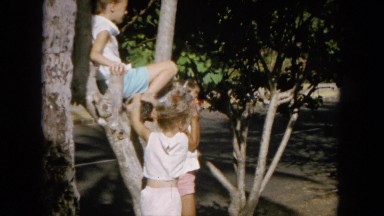 1964: young girls climbing in a small tree with traffic in the background HAWAII