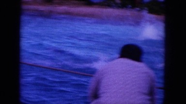 1964: dolphins are seen HAWAII