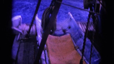 1964: men inspecting the stretcher on the boat for dolphins HAWAII