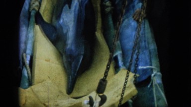 1964: man washing a big dark blue restless dolphin caught on the deck HAWAII