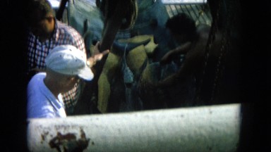 1964: a boy washing the deck of a boat with many people standing beside HAWAII