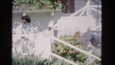 1966: what a wonderful day being outside with my family
