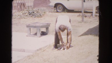 1966: a dog is seen being pet and cleaned CATALINA, CALIFORNIA