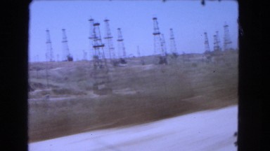 1966: a pet dog is seen CATALINA, CALIFORNIA