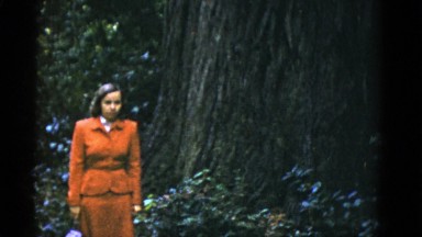 1952: a woman in an orange outfit standing next to a massive tree SAN FRANCISCO