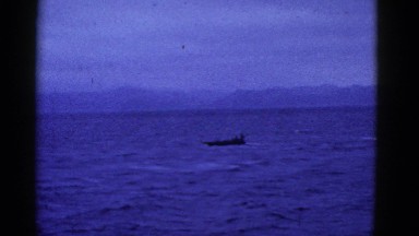 1952: a water area is seen SAN FRANCISCO, CALIFORNIA