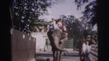 1962: local boys riding into town on an elephant. BANGKOK