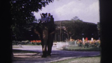 1962: a elephant is seen with people BANGKOK