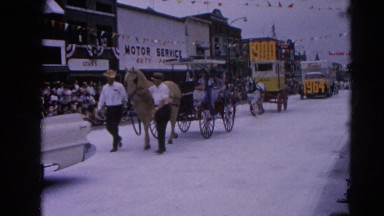 1964: the dairy procession made its way down the special white road. HARVARD