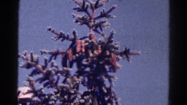 1966: a christmas tree is seen with a child opening presents DANVILLE, ILLINOIS