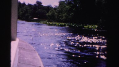 1955: boating view water wake closeup green exotic shores MIAMI, FLORIDA
