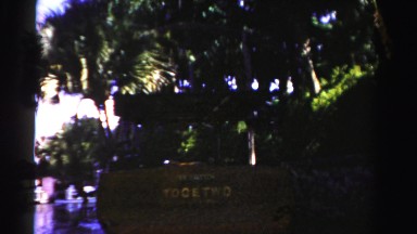1955: relaxing riverboat tour of the tropical forest MIAMI, FLORIDA