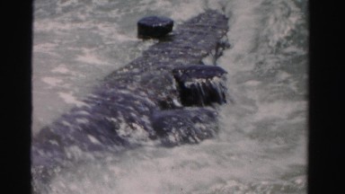 1955: water close up is seen MIAMI, FLORIDA