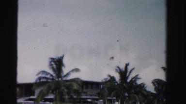 1955: palm tree lined fancy area streets. MIAMI, FLORIDA