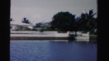 1955: coastal area is seen with tall trees MIAMI, FLORIDA