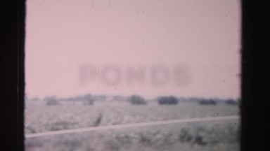 1955: garden is seen MIAMI, FLORIDA