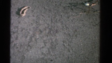 1958: charming title etched in the sand on the beach MINNESOTA