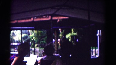 1961: dark outdoor picnic family gathering area HAGERSTOWN, MARYLAND