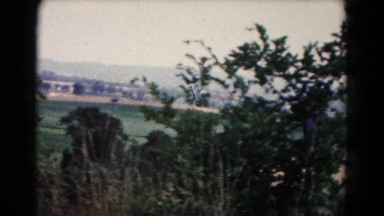 1961: view of the countryside with bush in front of the camera HAGERSTOWN