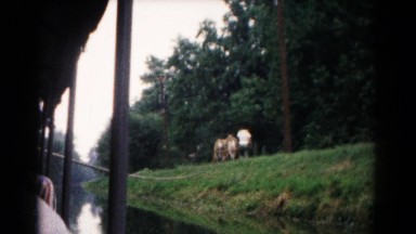 1961: forest area is seen HAGERSTOWN, MARYLAND