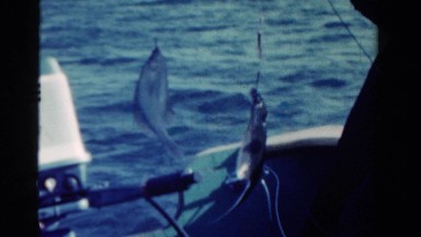 1958: Boat Gliding Across Minnesota Lake with Man in Glasses