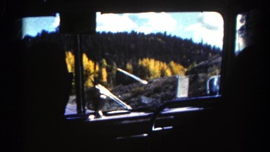 1967: vehicle moving through land of yellow flowers and dense forest COLORADO