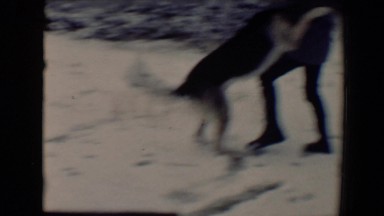 1967: kids are playing with their dog TUCSON, ARIZONA