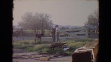 1967: family working on farm and kids playing ball. TUCSON, ARIZONA