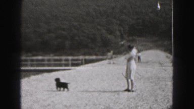 1946: dog is seen being pet HARRISBURG