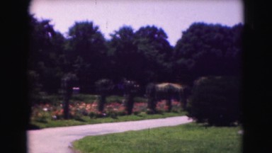 1946: flower scene WASHINGTON, DC