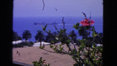 1963: ship and flowers view with the sea and tropics CALIFORNIA