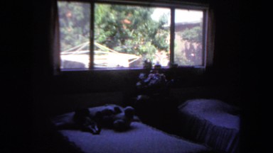 1962: Two Beds in Bedroom with Large Window Opens to Outdoor View in San Pedro