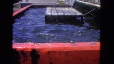 1962: water area is seen SAN PEDRO, CALIFORNIA