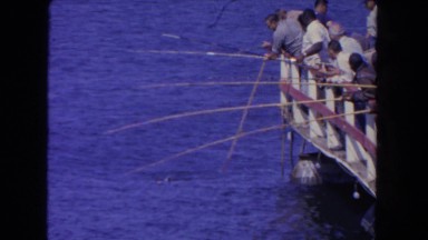 1962: group of men fishing off the side of pier trying to bring in fish.