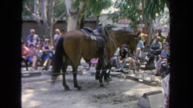 1962: people watching horse show SAN PEDRO, CALIFORNIA