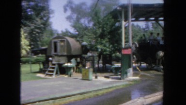 1962: people and lot of horses at the car wash SAN PEDRO, CALIFORNIA