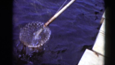1947: water area is seen MIDDLETOWN