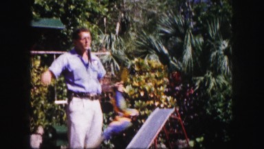 1960: Lush Garden and Residential Pathway in Florida