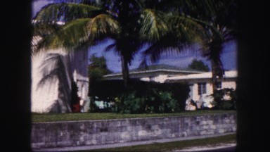 1960: coastal area is seen with tall trees FLORIDA