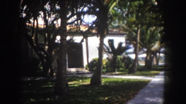 1960: garden is seen FLORIDA