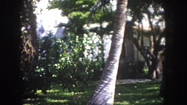 1960: garden is seen FLORIDA