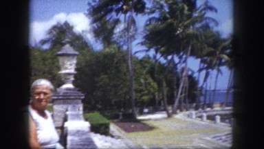 1960: coastal area is seen with tall trees FLORIDA