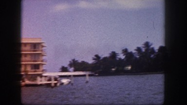 1960: coastal area is seen with tall trees FLORIDA