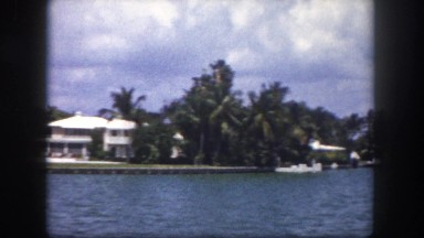 1960: coastal area is seen with tall trees FLORIDA