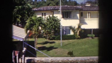1960: boating alongside wealthy mansion homes harborside FLORIDA