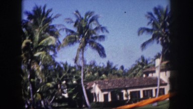 Thumbnail from Florida Beach Culture (1950-1970) curated collection