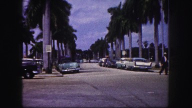 1960: palm tree laden streets car in street intersection everyday paradise life