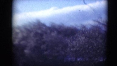 1947: forest area is seen MIDDLETOWN
